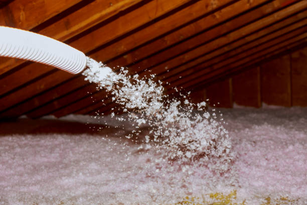 Best Specialty Insulation in Murphys Estates, SC