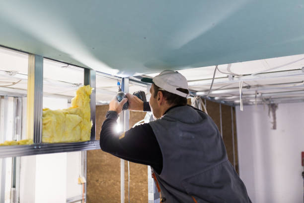 Best Energy Efficiency Solutions in Murphys Estates, SC
