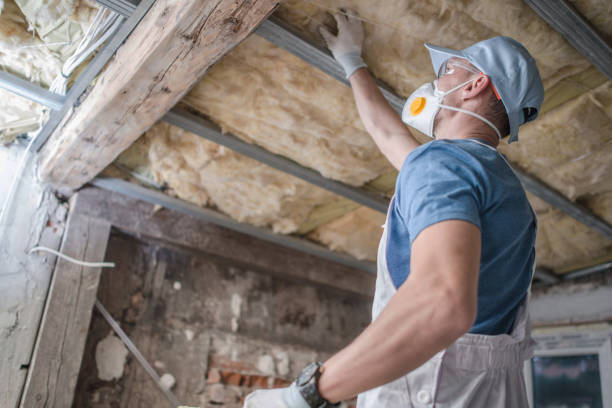 Best Insulation Materials and Products in Murphys Estates, SC